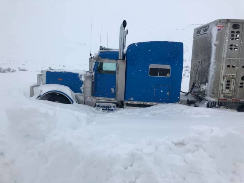 large blue semi truck stuck in the snow in need of heavy towing
